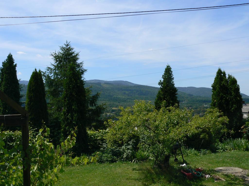Noclegi W Ksiegarni Bielsko-Biała Dış mekan fotoğraf